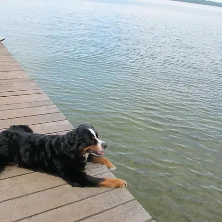 Σπίτι διακοπών Lenzer Hoeh Vii Lenz