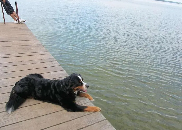 בית נופש Lenzer Hoeh Vii Lenz